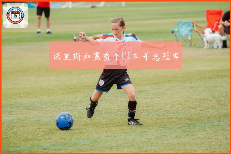 诺里斯加冕首个F1车手总冠军