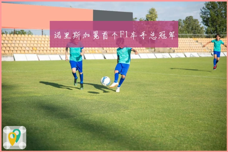 诺里斯加冕首个F1车手总冠军